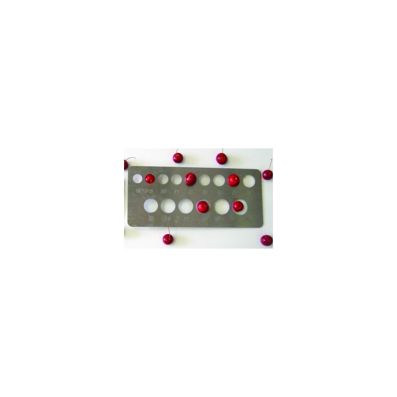 Calibre à plaque pour petits fruits